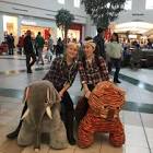 Profile Picture of   Bailey schwartz... (@baileyschwartz8) on Tiktok