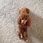 Profile Picture of Richard Hick (@richard.hick.3) on Facebook