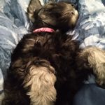 Profile Picture of Pam Cupp (@pkcupp2013) on Instagram