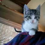 Profile Picture of Jacqueline Forester (@Jacqueline-Forester) on Facebook