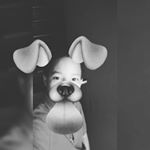 Profile Picture of jeremiah shields (@jahveyah2016.ks) on Instagram