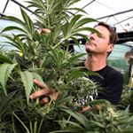 Profile Picture of Mike Carty (@ray_davano_0) on Instagram