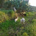 Profile Picture of Raul Bolufer Rosello (@boluferrosello) on Instagram