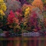 Beverly Flener - Instagram Profile Picture of Beverly Flener (@beverlyflener) on Instagram