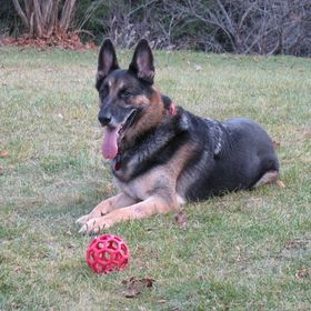 Profile Picture of Linda Stevens (@saberzmom) on Pinterest