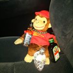 Profile Picture of John McCarty (@johnnyfungus) on Instagram