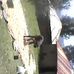 Profile Picture of Ray Jacks (@ray.jacks.37853) on Facebook