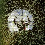 Profile Picture of Chris Quigley (@quigtronik) on Instagram