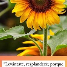 Profile Picture of Marilyn Yolanda Jacobo Mendiola (@MarilynYolanda4) on Twitter