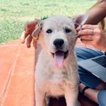 Profile Picture of Kevin (James) Perkins (@blueyedkev) on Instagram