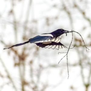 Profile Picture of philipharper (@philipharper470) on Tiktok