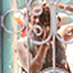 Profile Picture of Ana Fernandes (@ana fernandes_foto) on Flickr