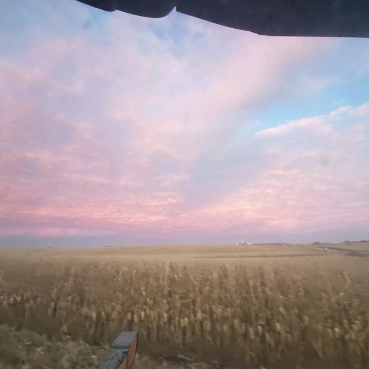 Iowafarmer - Tiktok Profile Picture of Iowafarmer (@andrew.johnson19) on Tiktok