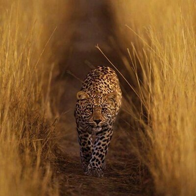 Profile Picture of Jou.jon (@JouJon99) on Twitter