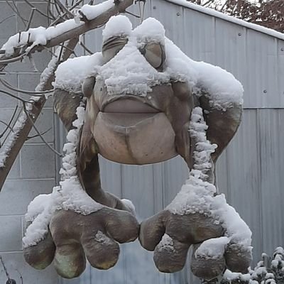 Profile Picture of Marc Ferland (@marc_ferland) on Twitter