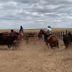 Profile Picture of Kelli Wamboldt (@kelli.blough.7) on Facebook