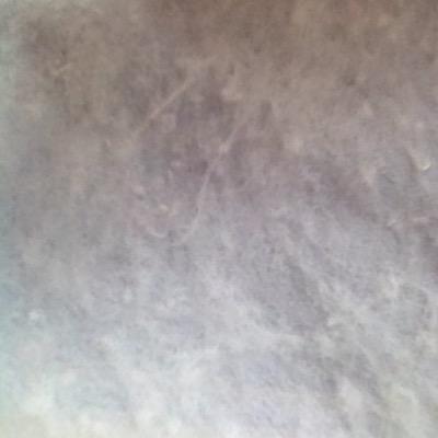 Profile Picture of Jacob Struck (@Dingus49040570) on Twitter