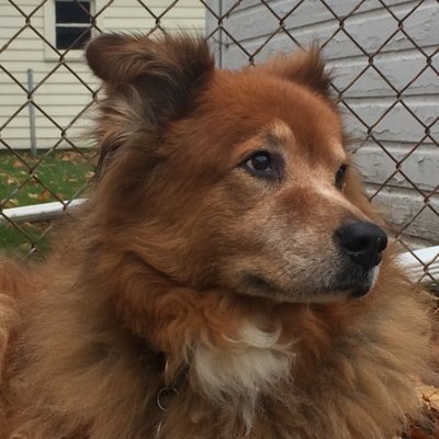 Julespath - Twitter Profile Picture of Julespath (@JuliaOberle2) on Twitter