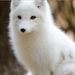 Profile Picture of Avaeh Hinkle (@29hinklea) on Pinterest
