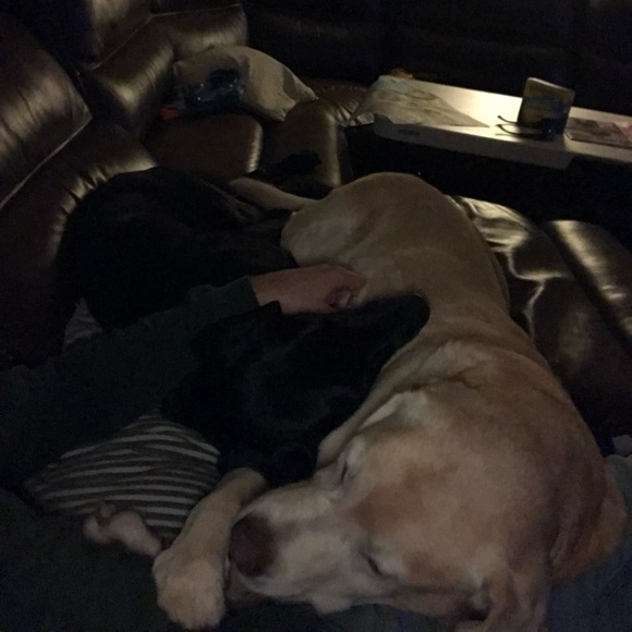 Profile Picture of Brian Knisely (@bknisely) on Poshmark