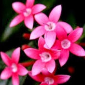 Profile Picture of Suzanne Bailey (@suzannebailey968) on Youtube