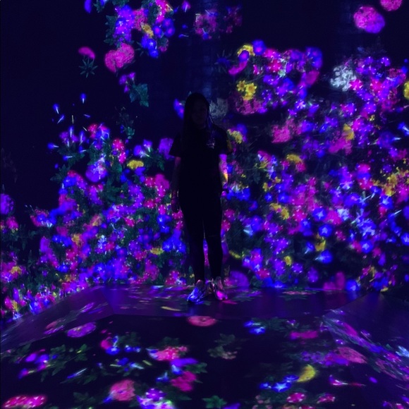 Profile Picture of Melanie Liu (@mlxiv) on Poshmark