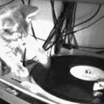 Profile Picture of Matthew Seigler (@seiglerccna) on Instagram