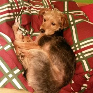 Profile Picture of Max Hippler (@Max-Hippler) on Facebook