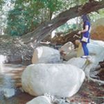 Profile Picture of Alice Portillo (@aliceportillo4) on Instagram