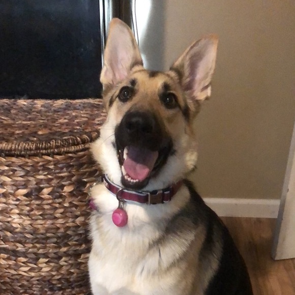 Profile Picture of Gracie Romacker (@gromack23) on Poshmark