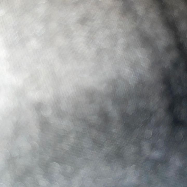 Profile Picture of Aaron Longinotti (@@aaronlonginotti) on Tiktok