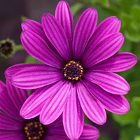 Profile Picture of Laura Heaton (@laura-heaton-11) on Quora