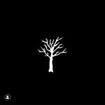 Profile Picture of jake_petrison (@jake_petrison) on Instagram