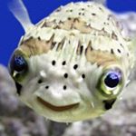 Profile Picture of Annabelle Zajac (@annabelle_the_aligator) on Instagram