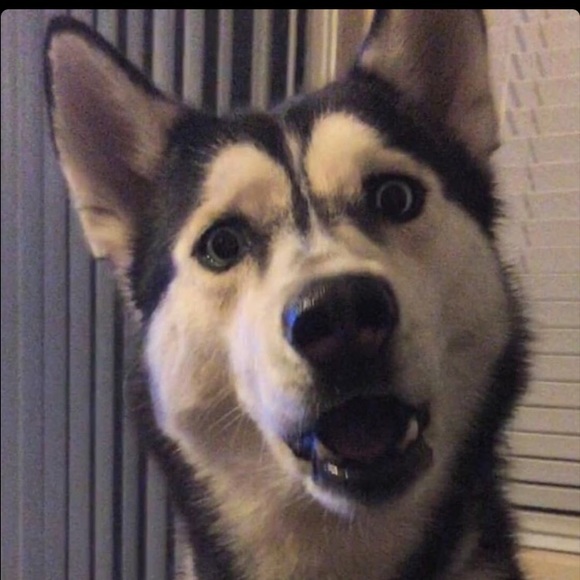 Profile Picture of Kate Davis (@loled) on Poshmark