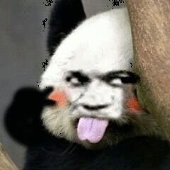 Profile Picture of Freeze (@Jim53936038) on Twitter