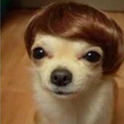 Profile Picture of Ben Dover (@BenPompa21) on Twitter