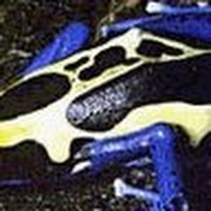 Profile Picture of richard steen (@richard.steen) on Tiktok