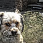 Profile Picture of Max jordan (@_maxjordan) on Instagram