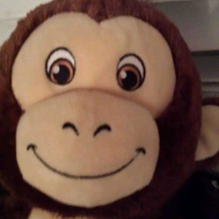 Profile Picture of matthewschlamp (@matthewschlamp) on Tiktok