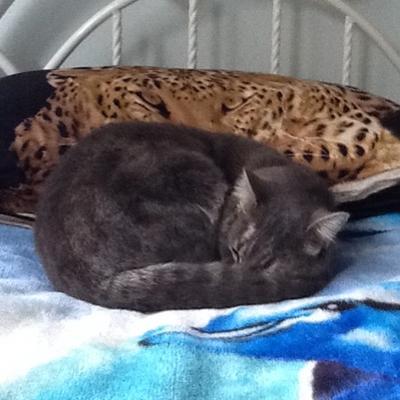 Profile Picture of Cheyenne.Proctor (@ProctorCheyenne) on Twitter