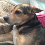 Profile Picture of Douglas O'Brien (@dougie_o) on Instagram