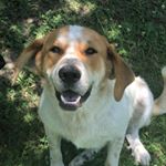 Profile Picture of Garrett Swann (@swann9436) on Instagram