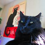 Profile Picture of Houdi Joe Pye (@houdi_joe_pye) on Instagram