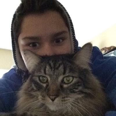 Profile Picture of Justin Alvarez (@JustinBoBailey) on Twitter