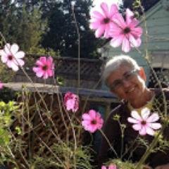 Profile Picture of Kathy Dunn (@dunkathy) on Twitter