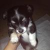 Profile Picture of user4836347834315 (@@bethparrish101) on Tiktok