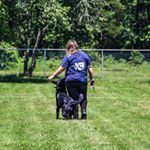 Profile Picture of Julianne Walsh (@pro_canine_julianne) on Instagram