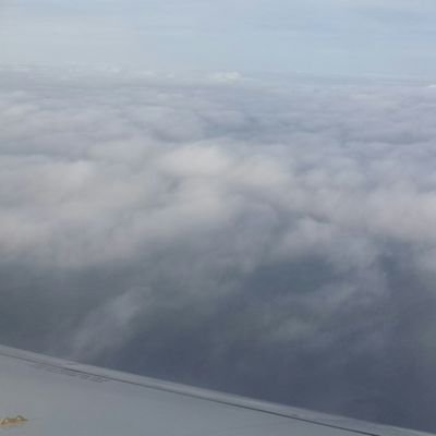 Profile Picture of Jonathan Barbato Barbato (@JonathanBarbat3) on Twitter