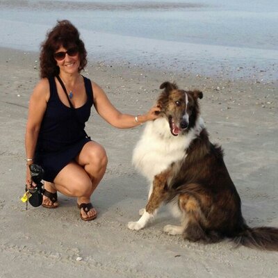 Profile Picture of Susan Novy (@MyDogGibson) on Twitter